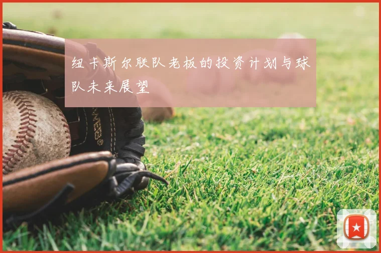 纽卡斯尔联队老板的投资计划与球队未来展望
